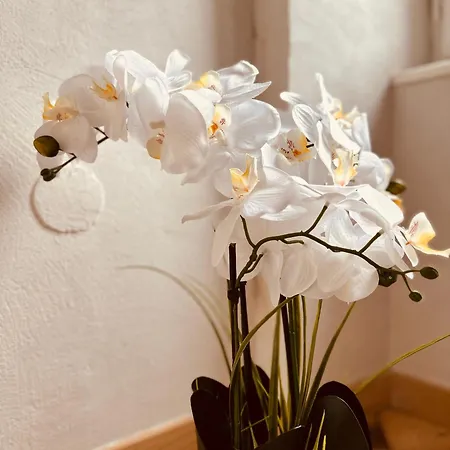 Holiday home L Romance L Secrete L Balneo Massage *